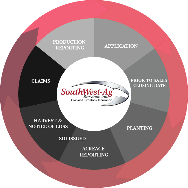 Comprehensive process for Southwest Ag Services